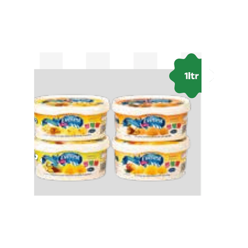 Everest Premium Indian Ice Cream Tub 1L (Kulfi / Malai)